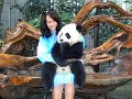 Pandas (009)